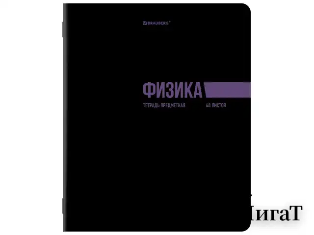 Тетради предметные, КОМПЛЕКТ 12 ПРЕДМЕТОВ, 48 л., обложка картон, BRAUBERG "КЛАССИКА BLACK", 405162