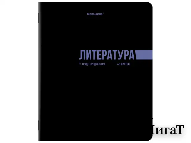 Тетради предметные, КОМПЛЕКТ 12 ПРЕДМЕТОВ, 48 л., обложка картон, BRAUBERG "КЛАССИКА BLACK", 405162