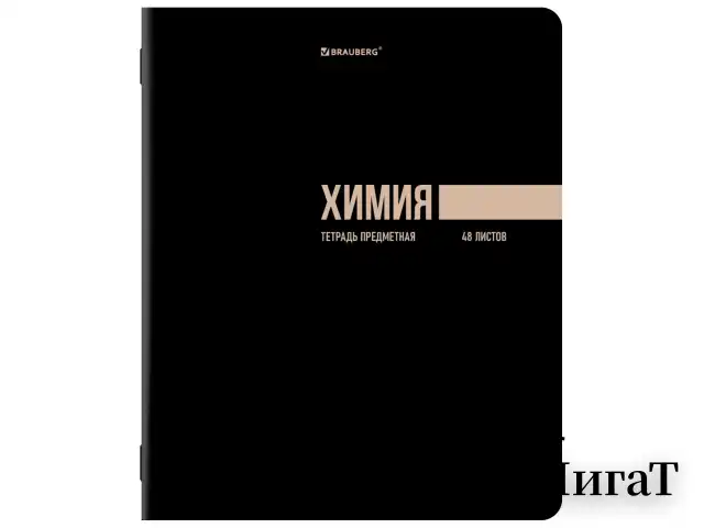 Тетради предметные, КОМПЛЕКТ 12 ПРЕДМЕТОВ, 48 л., обложка картон, BRAUBERG "КЛАССИКА BLACK", 405162