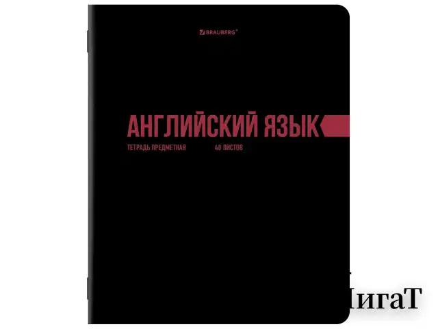 Тетради предметные, КОМПЛЕКТ 12 ПРЕДМЕТОВ, 48 л., обложка картон, BRAUBERG "КЛАССИКА BLACK", 405162