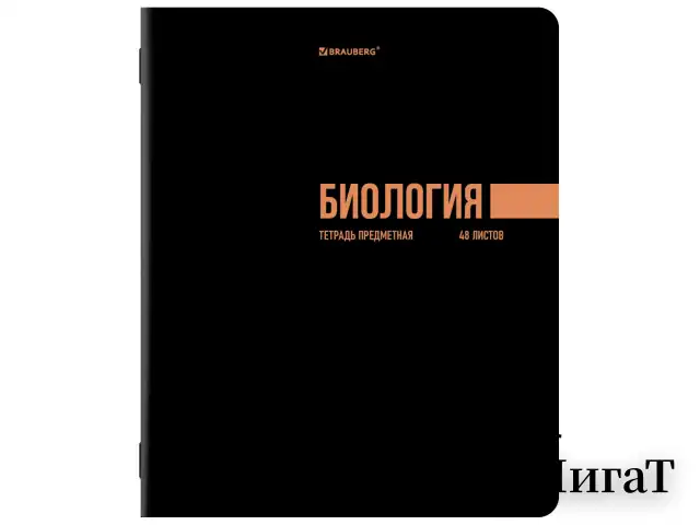 Тетради предметные, КОМПЛЕКТ 12 ПРЕДМЕТОВ, 48 л., обложка картон, BRAUBERG "КЛАССИКА BLACK", 405162