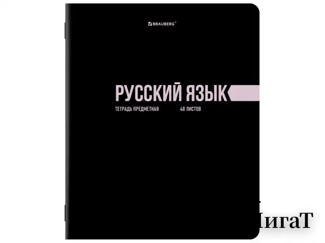 Тетради предметные, КОМПЛЕКТ 12 ПРЕДМЕТОВ, 48 л., обложка картон, BRAUBERG "КЛАССИКА BLACK", 405162