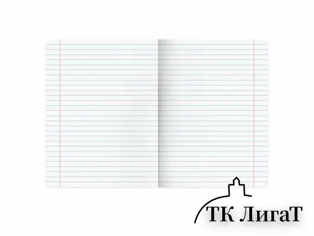 Тетради предметные, КОМПЛЕКТ 12 ПРЕДМЕТОВ, 48 л., обложка картон, BRAUBERG "КЛАССИКА BLACK", 405162