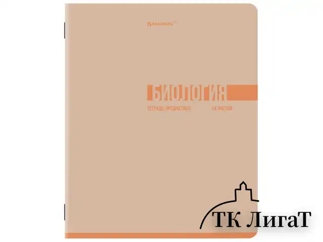 Тетради предметные, КОМПЛЕКТ 12 ПРЕДМЕТОВ, 48 л., обложка картон, BRAUBERG "VIBE", 405163