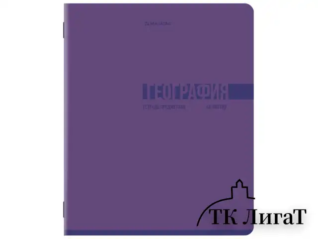 Тетради предметные, КОМПЛЕКТ 12 ПРЕДМЕТОВ, 48 л., обложка картон, BRAUBERG "VIBE", 405163
