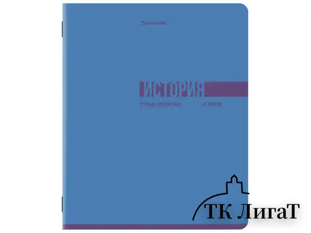 Тетради предметные, КОМПЛЕКТ 12 ПРЕДМЕТОВ, 48 л., обложка картон, BRAUBERG "VIBE", 405163