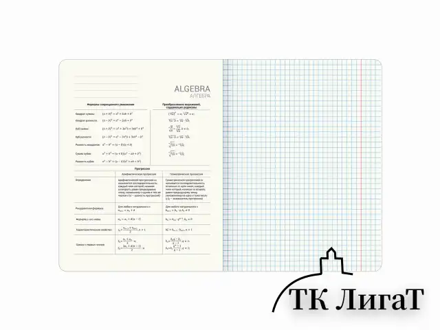Тетради предметные, КОМПЛЕКТ 12 ПРЕДМЕТОВ, 48 л., обложка картон, BRAUBERG "VIBE", 405163