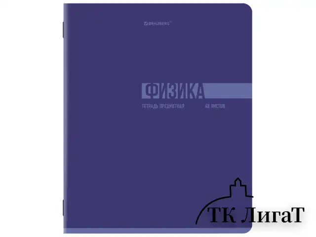 Тетради предметные, КОМПЛЕКТ 12 ПРЕДМЕТОВ, 48 л., обложка картон, BRAUBERG "VIBE", 405163