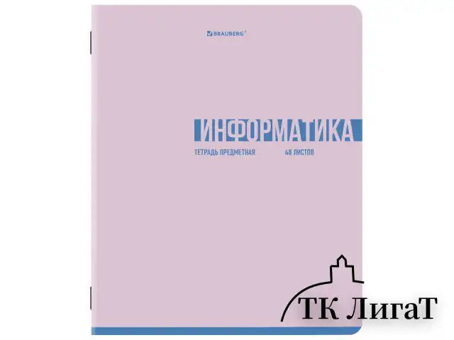 Тетради предметные, КОМПЛЕКТ 12 ПРЕДМЕТОВ, 48 л., обложка картон, BRAUBERG "VIBE", 405163