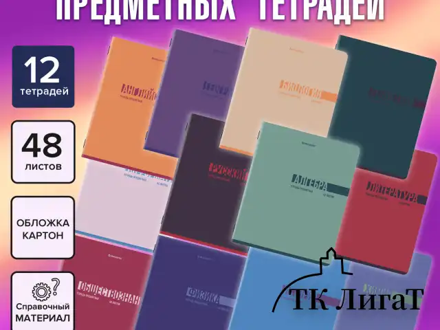 Тетради предметные, КОМПЛЕКТ 12 ПРЕДМЕТОВ, 48 л., обложка картон, BRAUBERG "VIBE", 405163