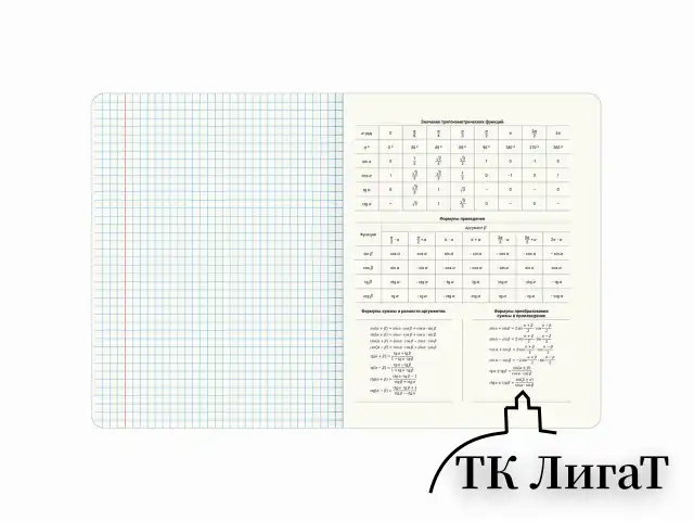 Тетради предметные, КОМПЛЕКТ 12 ПРЕДМЕТОВ, 48 л., обложка картон, BRAUBERG "VIBE", 405163
