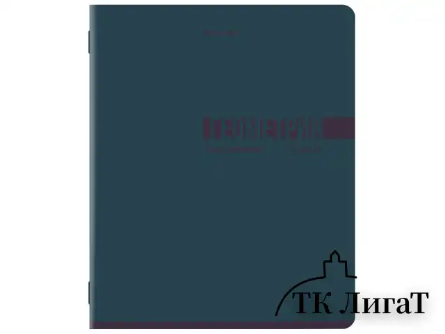 Тетради предметные, КОМПЛЕКТ 12 ПРЕДМЕТОВ, 48 л., обложка картон, BRAUBERG "VIBE", 405163