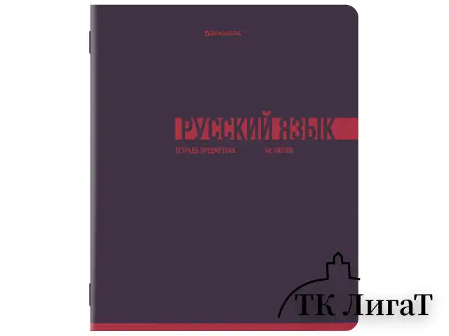 Тетради предметные, КОМПЛЕКТ 12 ПРЕДМЕТОВ, 48 л., обложка картон, BRAUBERG "VIBE", 405163