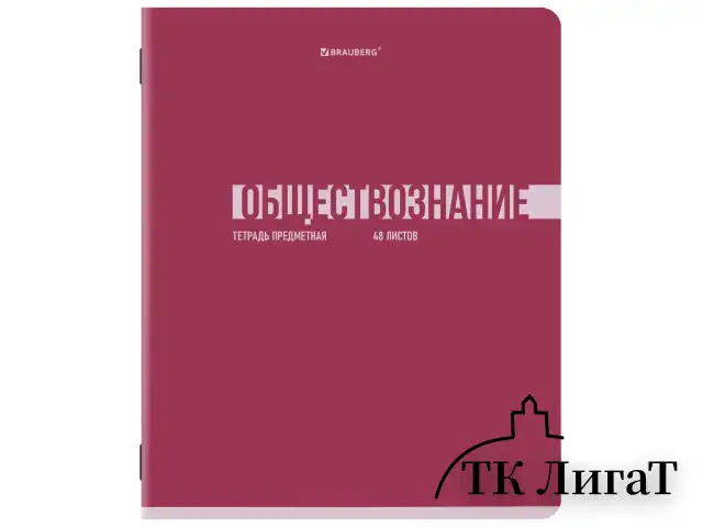 Тетради предметные, КОМПЛЕКТ 12 ПРЕДМЕТОВ, 48 л., обложка картон, BRAUBERG "VIBE", 405163