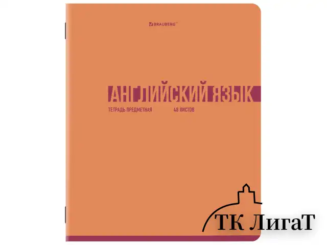 Тетради предметные, КОМПЛЕКТ 12 ПРЕДМЕТОВ, 48 л., обложка картон, BRAUBERG "VIBE", 405163