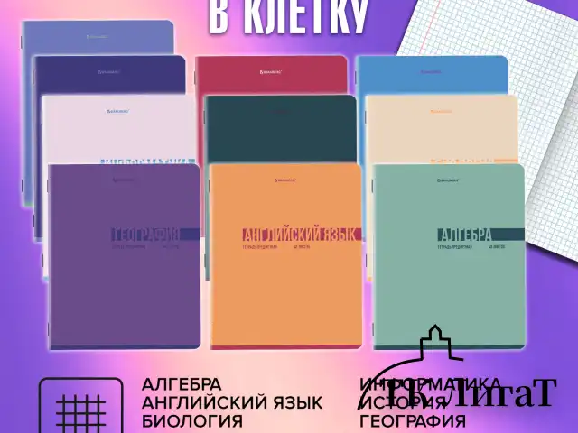 Тетради предметные, КОМПЛЕКТ 12 ПРЕДМЕТОВ, 48 л., обложка картон, BRAUBERG "VIBE", 405163