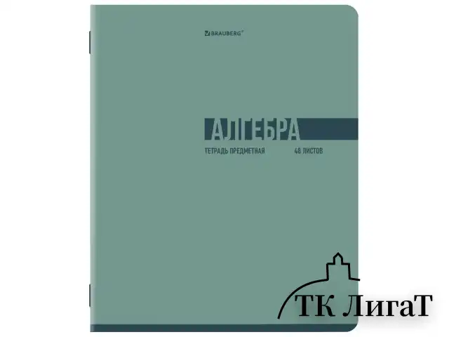 Тетради предметные, КОМПЛЕКТ 12 ПРЕДМЕТОВ, 48 л., обложка картон, BRAUBERG "VIBE", 405163