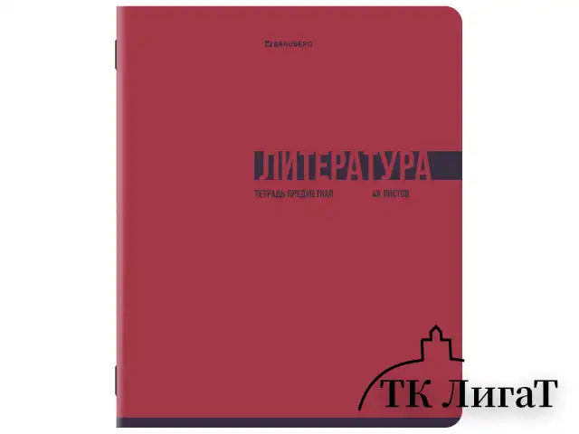 Тетради предметные, КОМПЛЕКТ 12 ПРЕДМЕТОВ, 48 л., обложка картон, BRAUBERG "VIBE", 405163