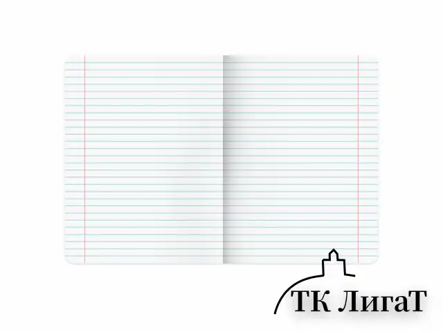 Тетради предметные, КОМПЛЕКТ 12 ПРЕДМЕТОВ, 48 л., обложка картон, BRAUBERG "BLACK", 405164