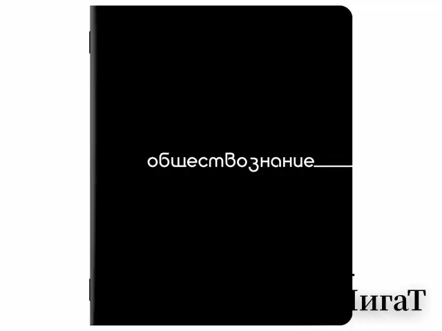 Тетради предметные, КОМПЛЕКТ 12 ПРЕДМЕТОВ, 48 л., обложка картон, BRAUBERG "BLACK", 405164