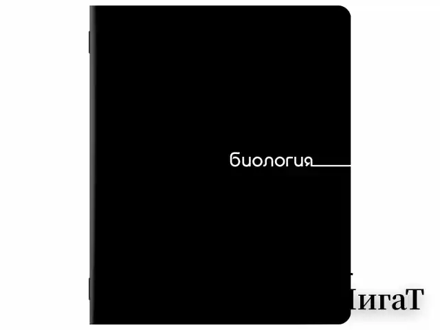 Тетради предметные, КОМПЛЕКТ 12 ПРЕДМЕТОВ, 48 л., обложка картон, BRAUBERG "BLACK", 405164