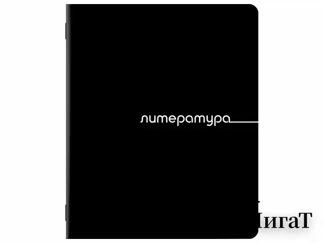 Тетради предметные, КОМПЛЕКТ 12 ПРЕДМЕТОВ, 48 л., обложка картон, BRAUBERG "BLACK", 405164