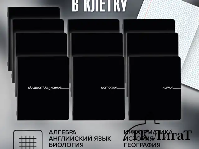 Тетради предметные, КОМПЛЕКТ 12 ПРЕДМЕТОВ, 48 л., обложка картон, BRAUBERG "BLACK", 405164