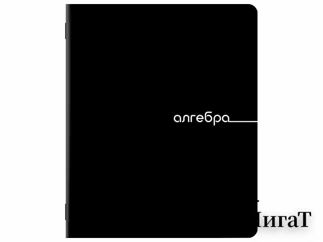 Тетради предметные, КОМПЛЕКТ 12 ПРЕДМЕТОВ, 48 л., обложка картон, BRAUBERG "BLACK", 405164