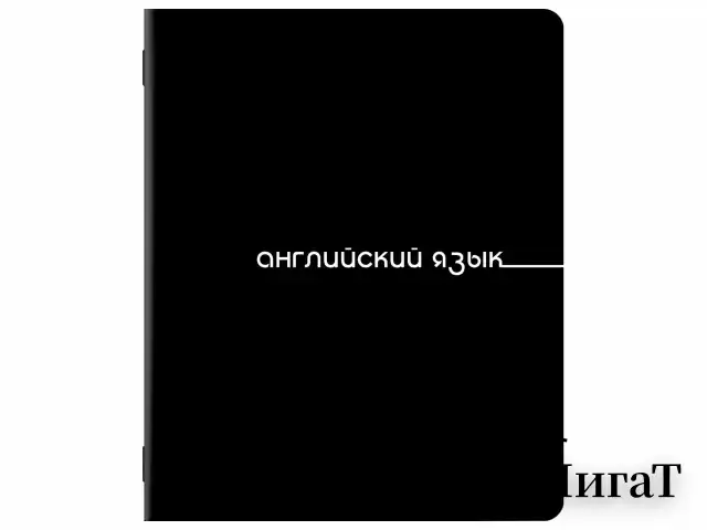 Тетради предметные, КОМПЛЕКТ 12 ПРЕДМЕТОВ, 48 л., обложка картон, BRAUBERG "BLACK", 405164