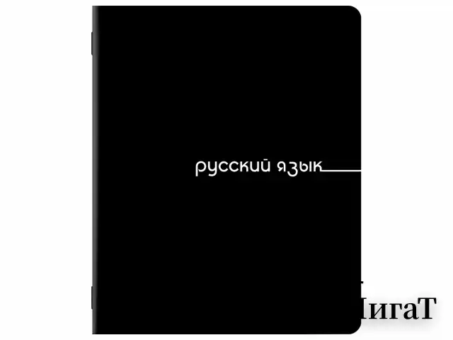 Тетради предметные, КОМПЛЕКТ 12 ПРЕДМЕТОВ, 48 л., обложка картон, BRAUBERG "BLACK", 405164