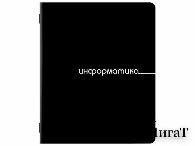 Тетради предметные, КОМПЛЕКТ 12 ПРЕДМЕТОВ, 48 л., обложка картон, BRAUBERG "BLACK", 405164