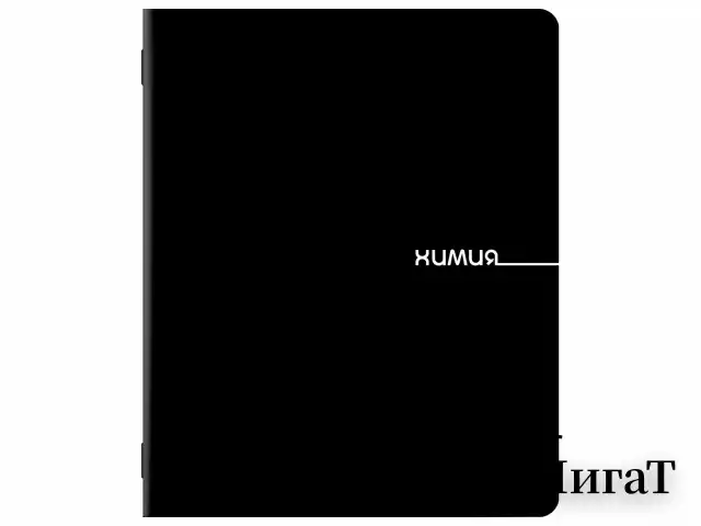 Тетради предметные, КОМПЛЕКТ 12 ПРЕДМЕТОВ, 48 л., обложка картон, BRAUBERG "BLACK", 405164