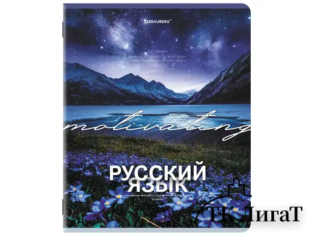 Тетради предметные, КОМПЛЕКТ 13 ПРЕДМЕТОВ, 48 л., обложка картон, BRAUBERG "КЛАССИКА ПРИРОДА", 405165
