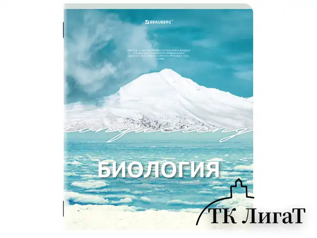 Тетради предметные, КОМПЛЕКТ 13 ПРЕДМЕТОВ, 48 л., обложка картон, BRAUBERG "КЛАССИКА ПРИРОДА", 405165