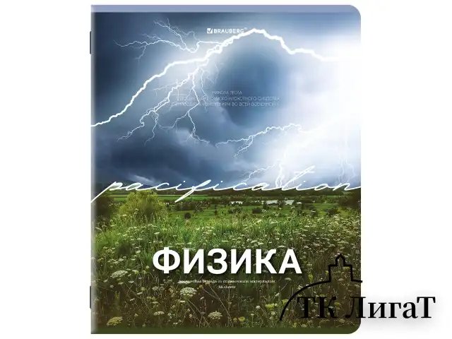 Тетради предметные, КОМПЛЕКТ 13 ПРЕДМЕТОВ, 48 л., обложка картон, BRAUBERG "КЛАССИКА ПРИРОДА", 405165
