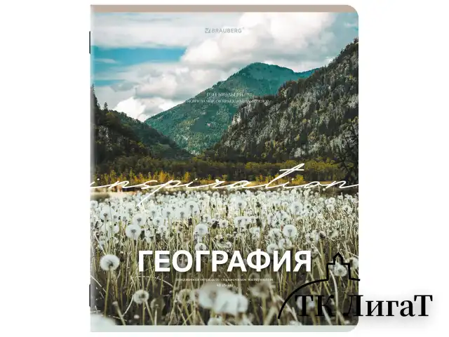 Тетради предметные, КОМПЛЕКТ 13 ПРЕДМЕТОВ, 48 л., обложка картон, BRAUBERG "КЛАССИКА ПРИРОДА", 405165