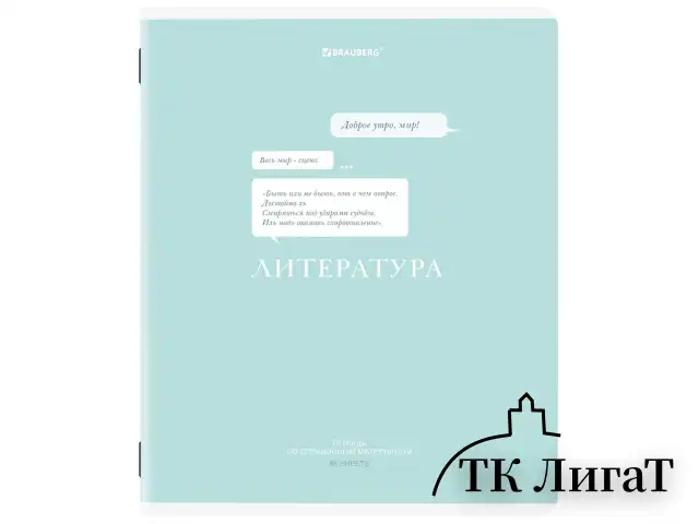 Тетради предметные, КОМПЛЕКТ 12 ПРЕДМЕТОВ, 48 л., обложка картон, BRAUBERG "CREATIVE", 405166