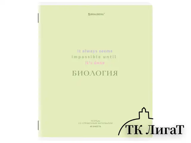 Тетради предметные, КОМПЛЕКТ 12 ПРЕДМЕТОВ, 48 л., обложка картон, BRAUBERG "CREATIVE", 405166