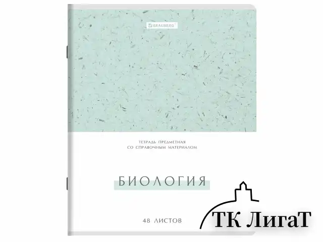Тетради предметные, КОМПЛЕКТ 12 ПРЕДМЕТОВ, 48 л., обложка картон, BRAUBERG "HARMONY", 405167