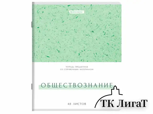 Тетради предметные, КОМПЛЕКТ 12 ПРЕДМЕТОВ, 48 л., обложка картон, BRAUBERG "HARMONY", 405167