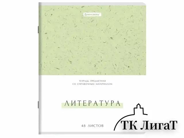 Тетради предметные, КОМПЛЕКТ 12 ПРЕДМЕТОВ, 48 л., обложка картон, BRAUBERG "HARMONY", 405167