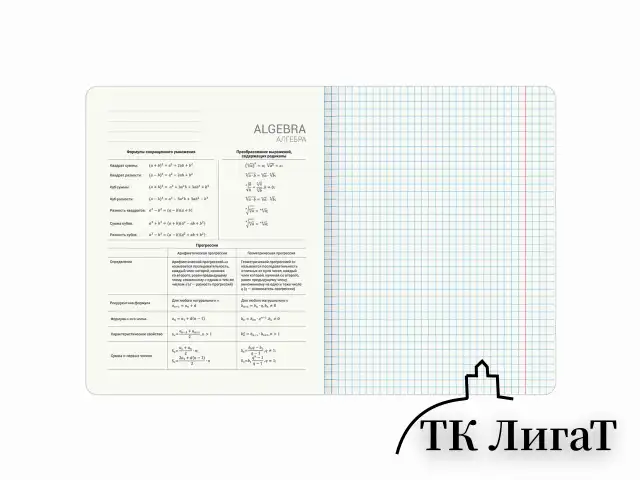 Тетради предметные, КОМПЛЕКТ 12 ПРЕДМЕТОВ, 48 л., глянцевый УФ-лак, BRAUBERG "MAGICAL WHITE", 405168
