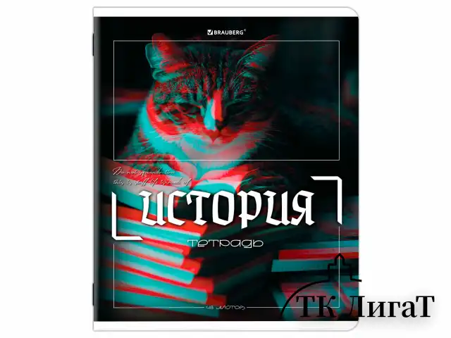 Тетради предметные, КОМПЛЕКТ 12 ПРЕДМЕТОВ, 48 л., глянцевый УФ-лак, BRAUBERG "GLITCH", 405170