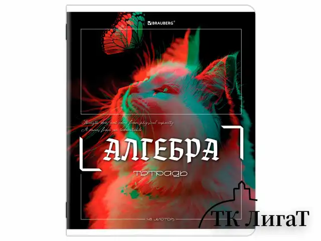 Тетради предметные, КОМПЛЕКТ 12 ПРЕДМЕТОВ, 48 л., глянцевый УФ-лак, BRAUBERG "GLITCH", 405170