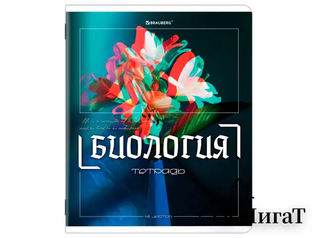 Тетради предметные, КОМПЛЕКТ 12 ПРЕДМЕТОВ, 48 л., глянцевый УФ-лак, BRAUBERG "GLITCH", 405170