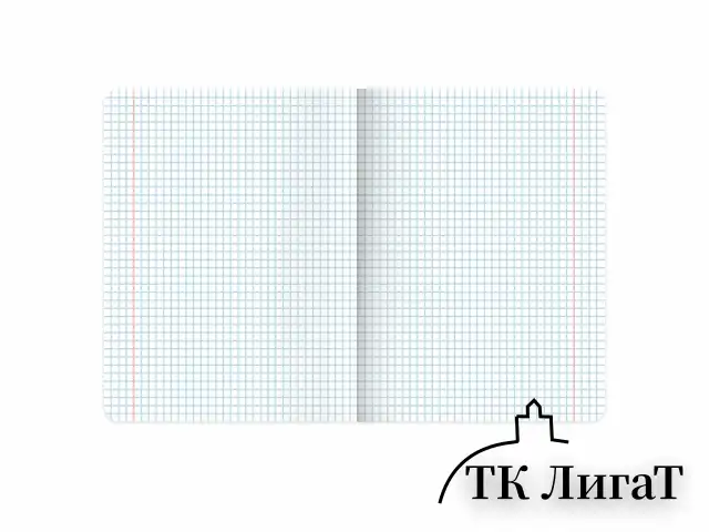 Тетради предметные, КОМПЛЕКТ 12 ПРЕДМЕТОВ, 48 л., TWIN лак, BRAUBERG "МЕМЫ", 405172