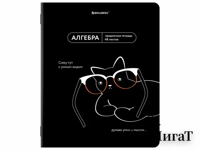Тетради предметные, КОМПЛЕКТ 12 ПРЕДМЕТОВ, 48 л., TWIN лак, BRAUBERG "МЕМЫ", 405172