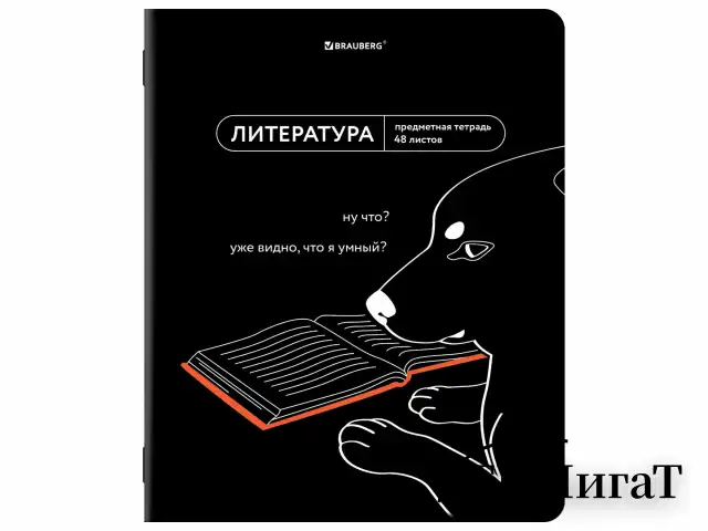 Тетради предметные, КОМПЛЕКТ 12 ПРЕДМЕТОВ, 48 л., TWIN лак, BRAUBERG "МЕМЫ", 405172