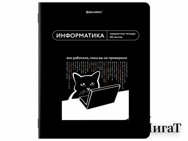 Тетради предметные, КОМПЛЕКТ 12 ПРЕДМЕТОВ, 48 л., TWIN лак, BRAUBERG "МЕМЫ", 405172