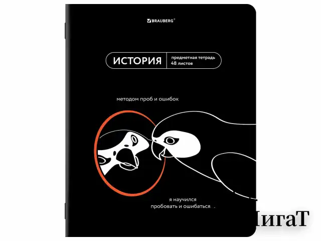 Тетради предметные, КОМПЛЕКТ 12 ПРЕДМЕТОВ, 48 л., TWIN лак, BRAUBERG "МЕМЫ", 405172